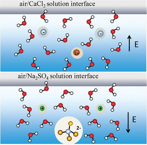 Electric Field Reversal Of Na2so4 Nh42so4 And Na2co3 Relative To