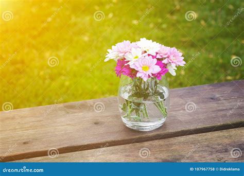 Colorful Pink Summer Flowers In A Glass Vase Stock Photo Image Of