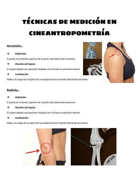 T Cnicas De Medici N En Cineantropometr A T Cnicas De Medici N En