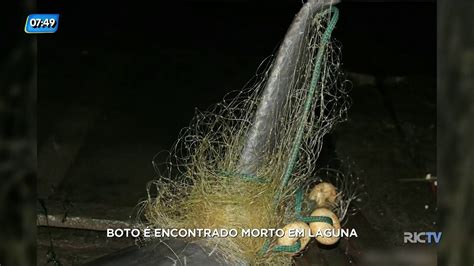 Boto Encontrado Morto E Enrolado Em Rede De Pesca Em Laguna Youtube