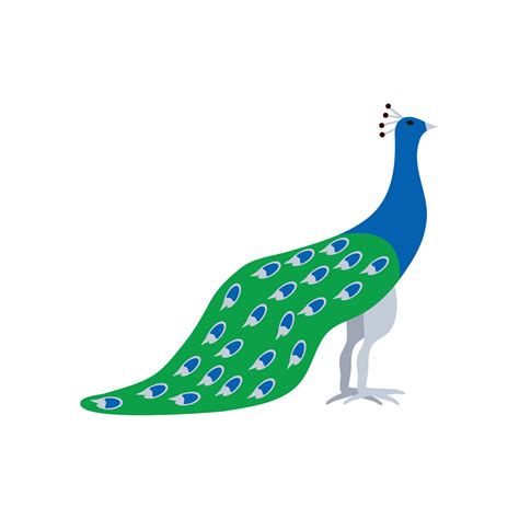 Peacock Exotic Bird 10422589 Vector Art At Vecteezy