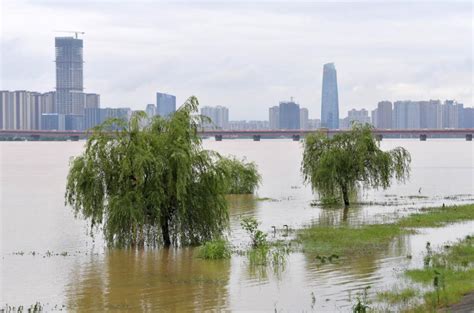 全国多地进入主汛期，当前汛情怎样？如何防汛救灾？——专访国家防办、应急管理部有关负责人 新华网