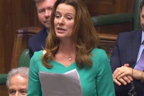 Chichester Mp Gives Maiden Speech In Commons