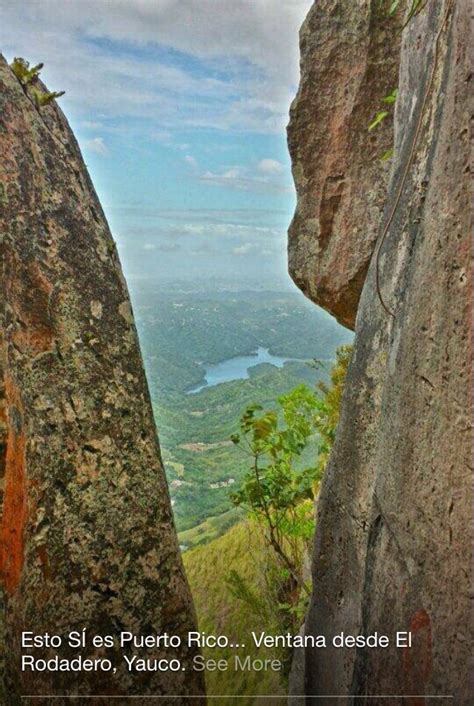 Yauco PR | Puerto rico island, Puerto rico history, Puerto rico pictures