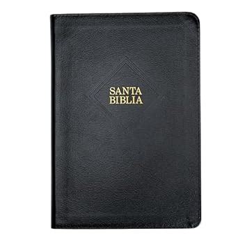 Rvr Biblia Letra Gigante Negro Piel Fabricada Edici N