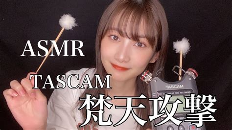 【asmr】 梵天のみでふわふわ耳かきしていくｿﾞ🔎【睡眠用】 Tascam Youtube