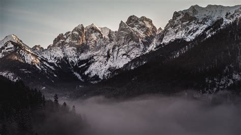 HD wallpaper: nature, landscape, trees, forest, dark, mist, mountains, snowy mountain | Snowy ...