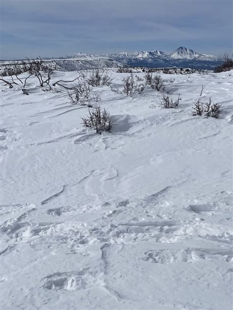 Things To Do In Mesa Verde National Park In Winter The Detour Effect