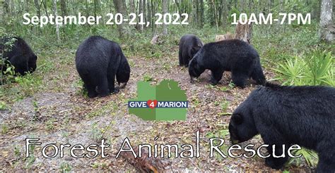 Today is the day! – Forest Animal Rescue