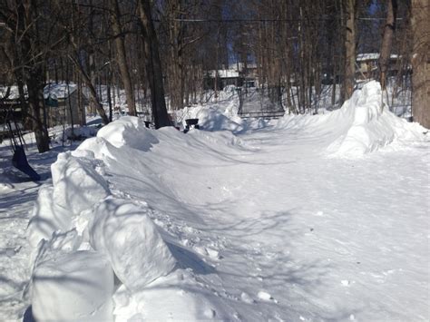 Barrie man makes giant backyard luge track | CTV News