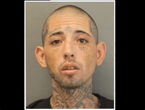 Dangerous Fugitive Captured In Manhunt Informing News