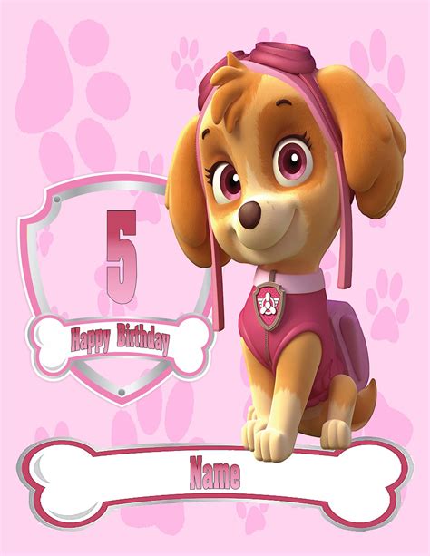 Paw Patrol Skye Cake Topper Edible Image Personalized Cupcakes Frosting Hot Sex Picture