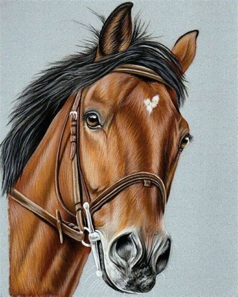 Cavalo Uma Paix O On Instagram Pintura De Cavalo Cavalos