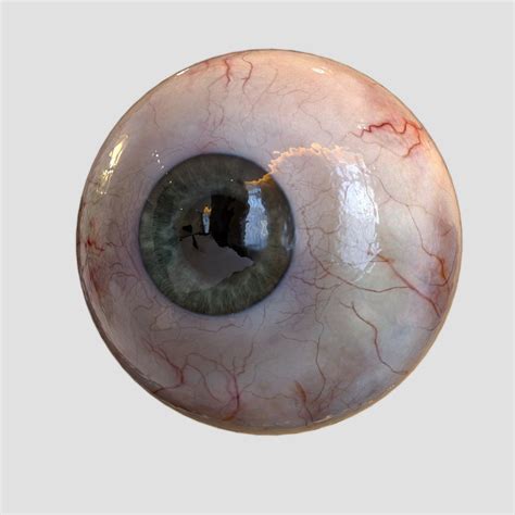 Human Eye Realistic 3d Model Rigged Cgtrader