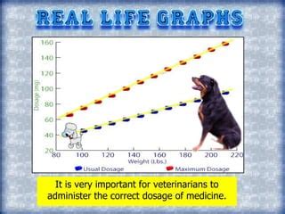 Linear Graph Real Life