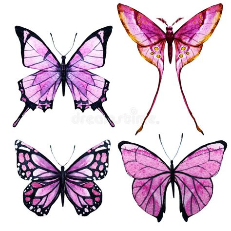 Trama De Las Mariposas De La Acuarela Stock De Ilustraci N