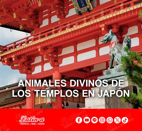 ANIMALES DIVINOS DE LOS TEMPLOS EN JAPÓN Latin a Noticias de Japón