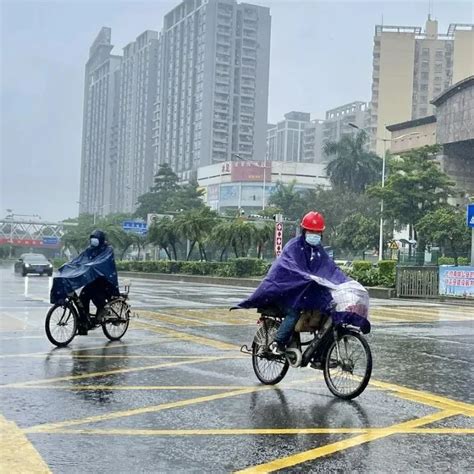 刚刚登陆！台风直奔广东，东莞暴雨黄色预警东莞市台风暴雨新浪新闻