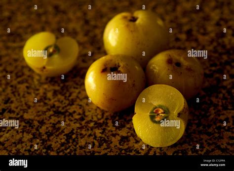 aonla  res stock photography  images alamy