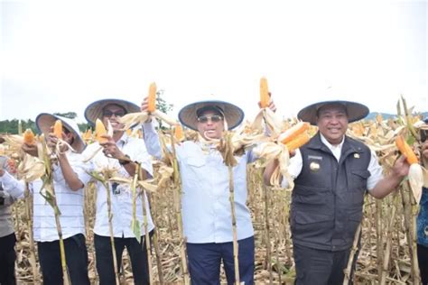 2023 Kementan Beri Bantuan Pertanian Dairi Bakal Dapat Bibit Untuk 3