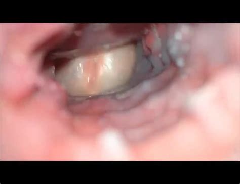 Inside Boycunt Cam Fuck With Cumshot ThisVid