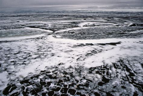 Arctic Tundra Melting In Late June Taimyrsky Zapovednik Central