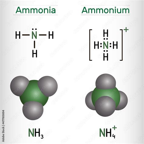 Ammonium Cation, NH4 And Ammonia, NH3 Structural Chemical, 52% OFF