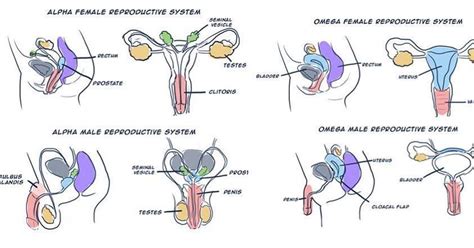 Alpha Male Omega Female Telegraph