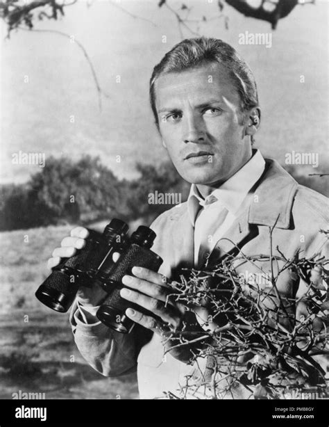 Roy Thinnes The Invaders Hi Res Stock Photography And Images Alamy