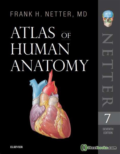 Atlas Anatomy