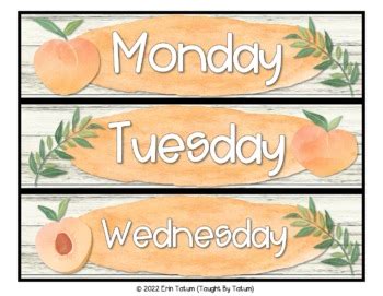 Feelin Peachy Classroom Decor Drawer Labels Editable By Taught By