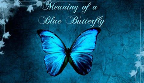 Meaning Of A Blue Butterfly Spiritual Experience Blue Butterfly