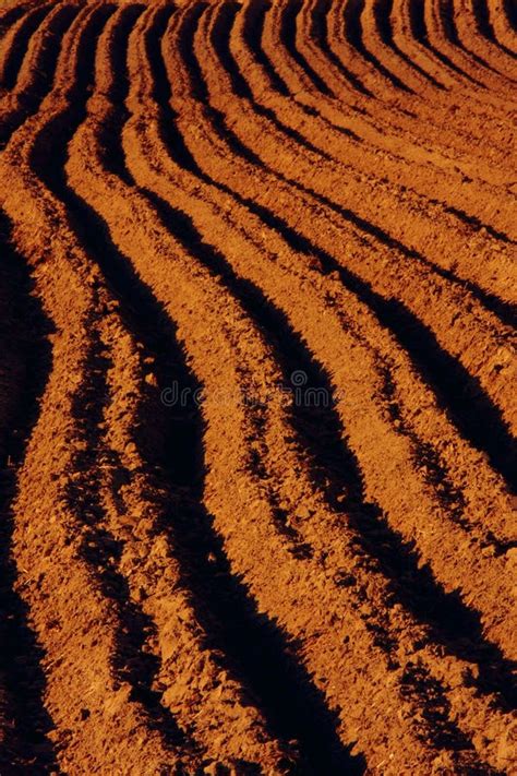 Ploughed Red Clay Soil Agriculture Fields Stock Photo Image Of Land