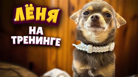 Лёня на тренинге - YouTube