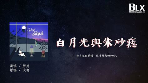 胖虎 白月光與朱砂痣原唱：大籽『白月光在照耀，你才想起她的好。』【動態歌詞lyrics】 Youtube