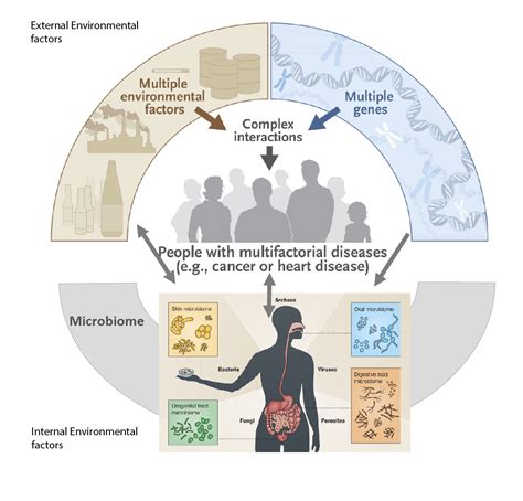 The Gut Microbiome And Its Interactions With The Human Genome