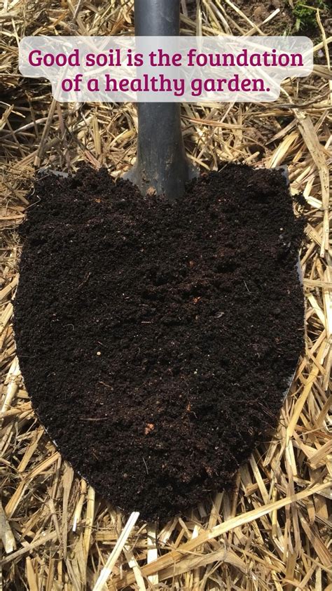 The Best Soil For A Raised Garden Bed Artofit