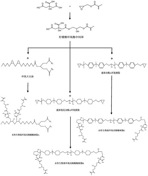 一种水性生物基光固化材料及其制备方法