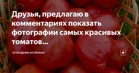 Друзья, предлагаю в комментариях показать фотографии самых красивых ...