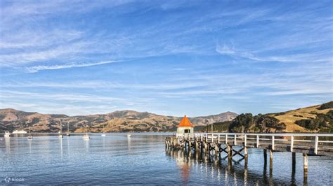 Akaroa Harbour Nature Cruise - Klook