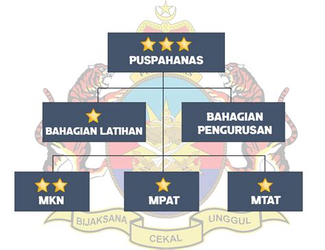 Carta Organisasi