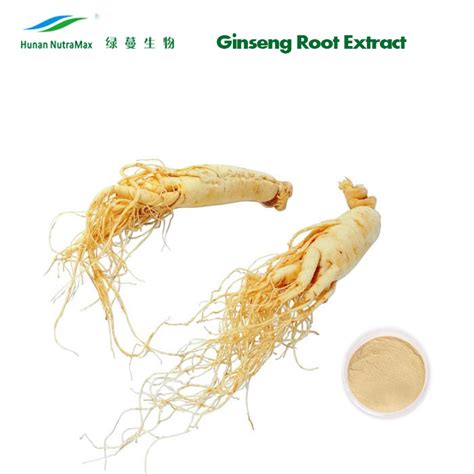 Professional Manufacturer Ginsenosides Powder American Ginseng Root