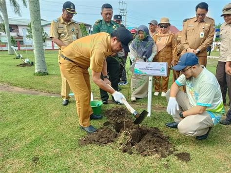 Pt Pln Nusantara Power Tanam Pohon Di Makam Pahlawan Pontianak Post