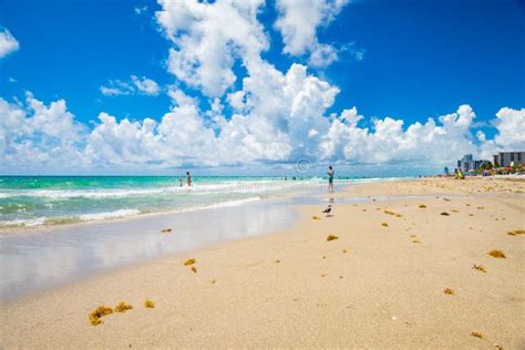 Hollywood Beach Florida editorial stock photo. Image of states - 95702948