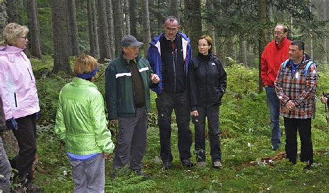 Natur Und Wild Im Blick Hinterzarten Badische Zeitung