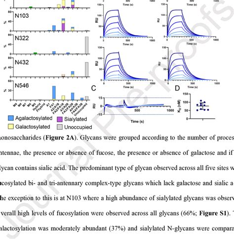 Site Specific Glycan Analysis And Determination Of Sars Cov 2 Binding