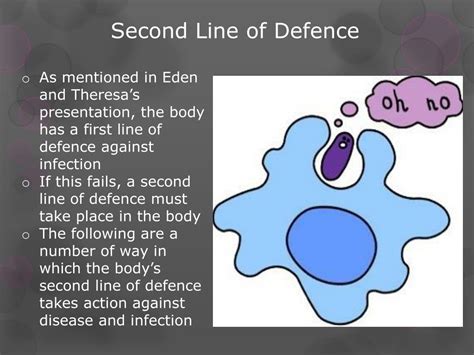 Ppt The Second Line Of Defence Powerpoint Presentation Free Download