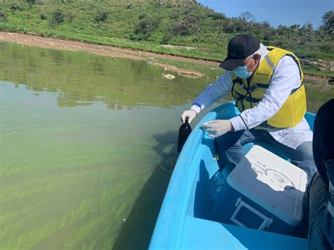 Edo Mex Ambientalistas Denuncian Ecocidio De Los Cuerpos De Agua Capital Mx