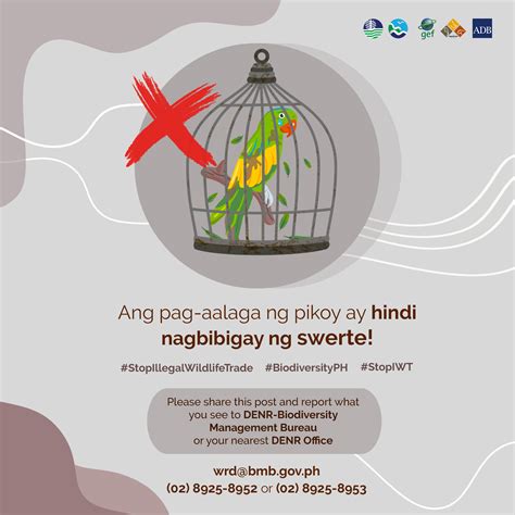 The Philippines - Illegal Wildlife Trade Projects: Combating the