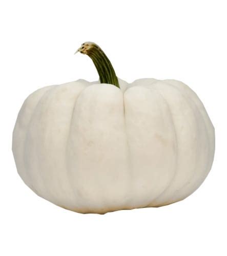 Fresh Grown White Pumpkins - Each, 1 ct - Food 4 Less